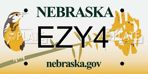 EZY4 Nebraska License Plate
