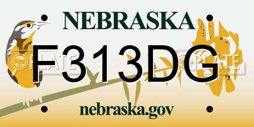 F313DG Nebraska License Plate