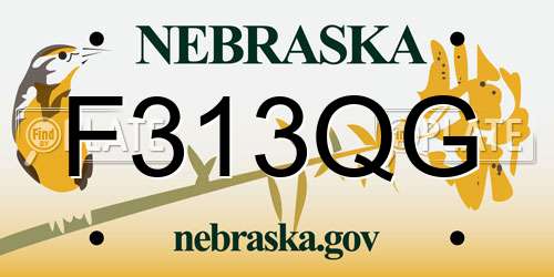 F313QG Nebraska License Plate