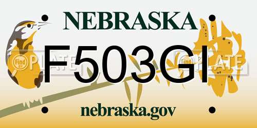 F503GI Nebraska License Plate