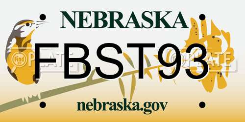 FBST93 Nebraska License Plate