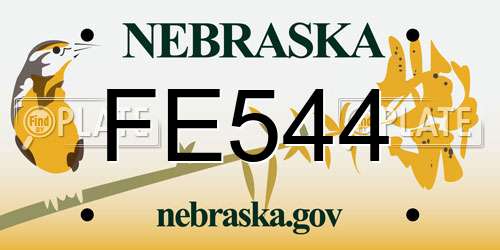 FE544 Nebraska License Plate