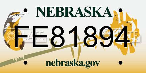FE81894 Nebraska License Plate