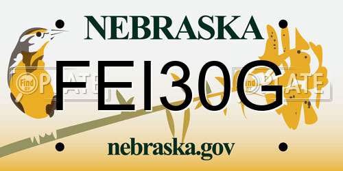FEI30G Nebraska License Plate