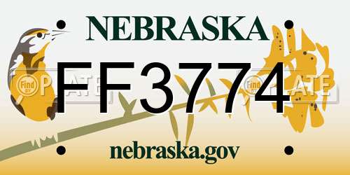 FF3774 Nebraska License Plate