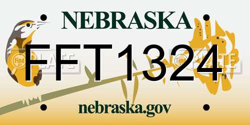FFT1324 Nebraska License Plate