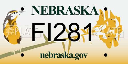 FI281 Nebraska License Plate