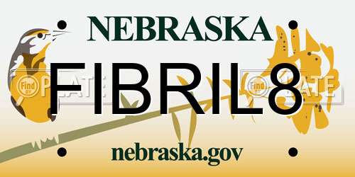FIBRIL8 Nebraska License Plate