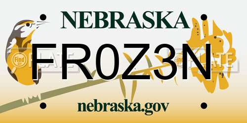 FR0Z3N Nebraska License Plate
