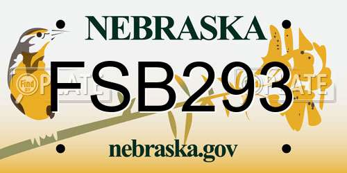 FSB293 Nebraska License Plate