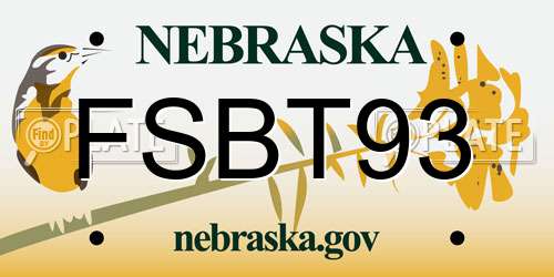 FSBT93 Nebraska License Plate