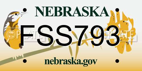 FSS793 Nebraska License Plate