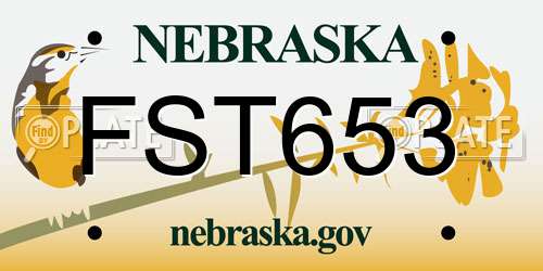 FST653 Nebraska License Plate