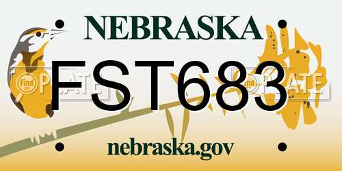 FST683 Nebraska License Plate