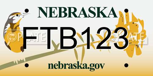 FTB123 Nebraska License Plate