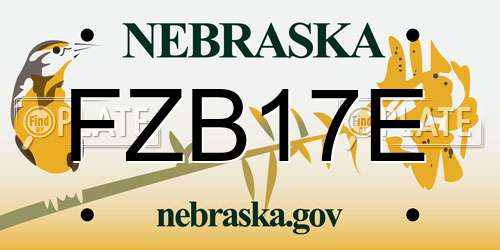FZB17E Nebraska License Plate