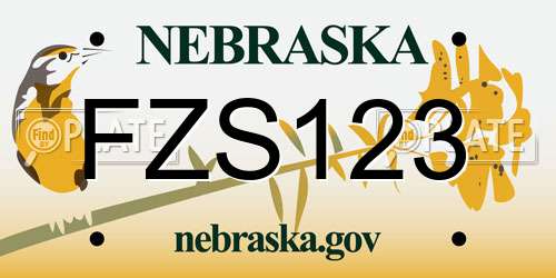 FZS123 Nebraska License Plate