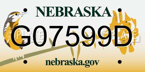 G07599D Nebraska License Plate