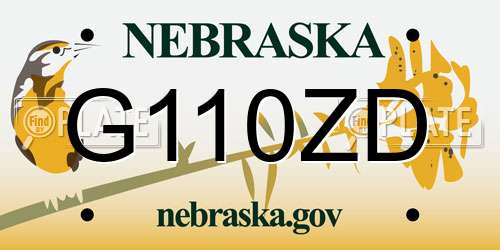 G110ZD Nebraska License Plate