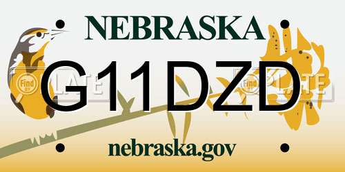 G11DZD Nebraska License Plate