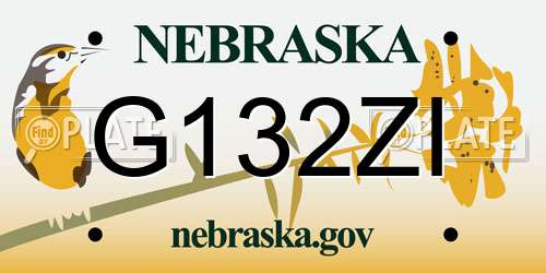 G132ZI Nebraska License Plate