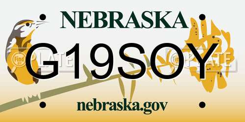 G19SOY Nebraska License Plate