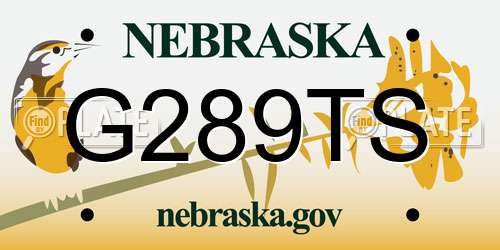 G289TS Nebraska License Plate