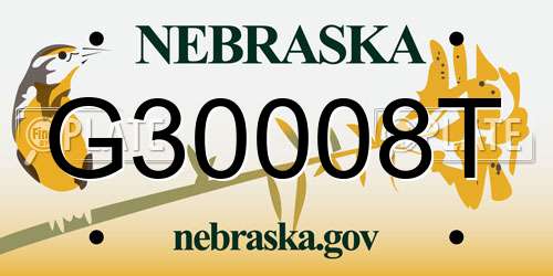 G30008T Nebraska License Plate