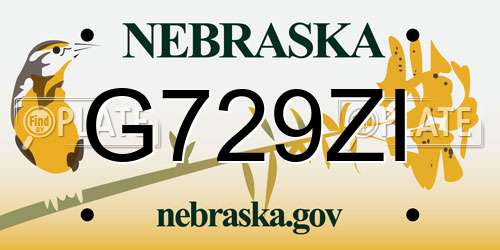 G729ZI Nebraska License Plate