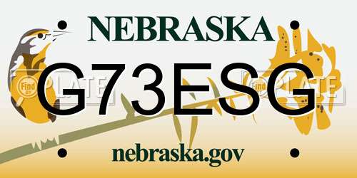 G73ESG Nebraska License Plate