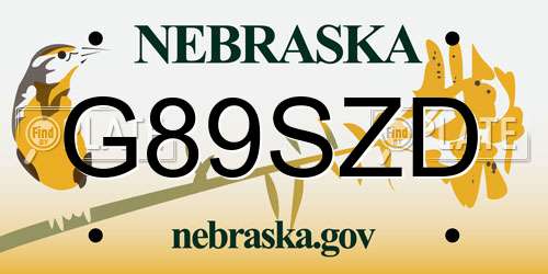 G89SZD Nebraska License Plate