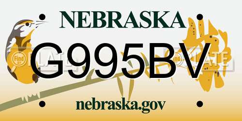 G995BV Nebraska License Plate