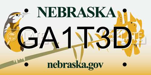 GA1T3D Nebraska License Plate