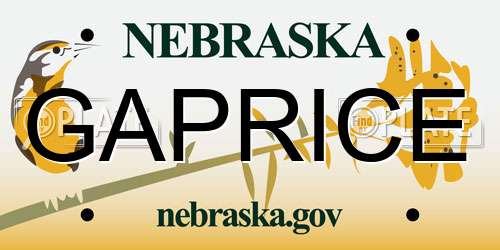 GAPRICE Nebraska License Plate