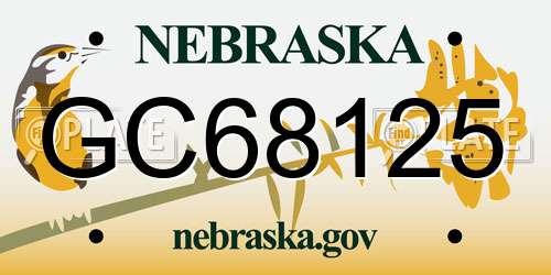 GC68125 Nebraska License Plate
