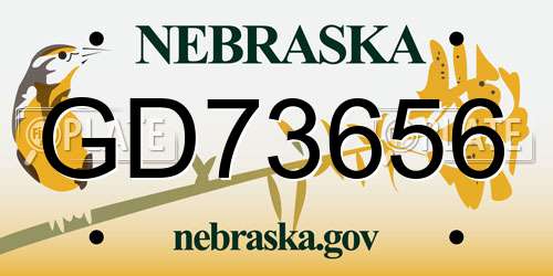 GD73656 Nebraska License Plate