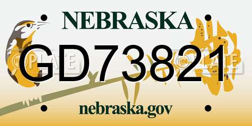 GD73821 Nebraska License Plate