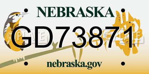 GD73871 Nebraska License Plate