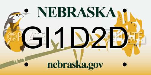 GI1D2D Nebraska License Plate