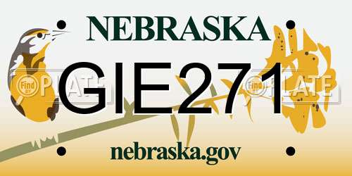 GIE271 Nebraska License Plate