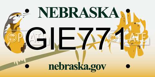 GIE771 Nebraska License Plate