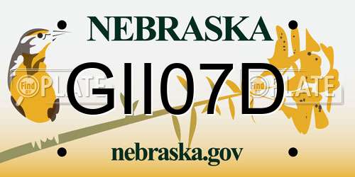 GII07D Nebraska License Plate