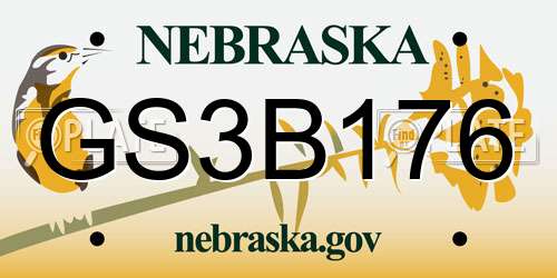 GS3B176 Nebraska License Plate