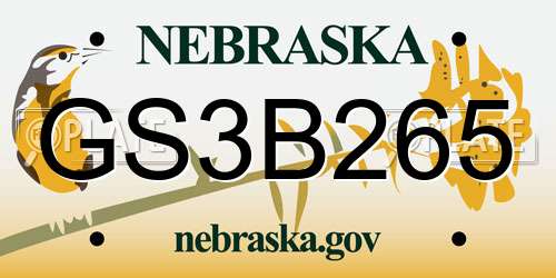 GS3B265 Nebraska License Plate