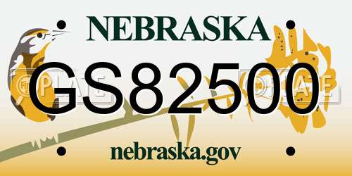 GS82500 Nebraska License Plate