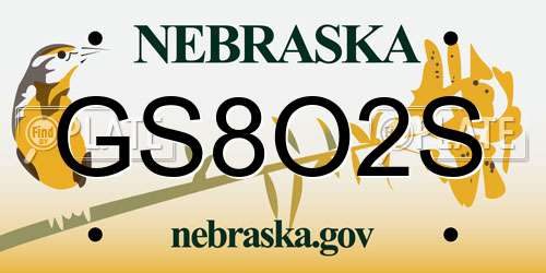 GS8O2S Nebraska License Plate