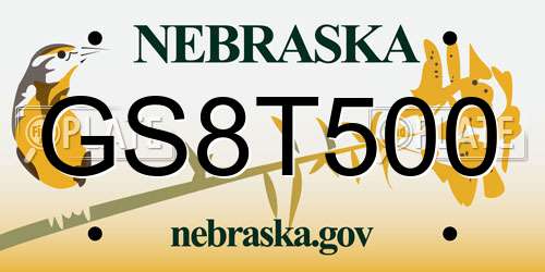 GS8T500 Nebraska License Plate