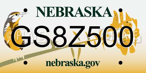 GS8Z500 Nebraska License Plate