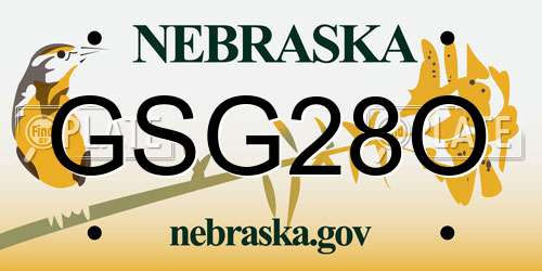 GSG28O Nebraska License Plate