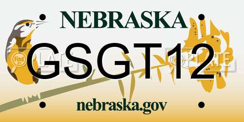 GSGT12 Nebraska License Plate